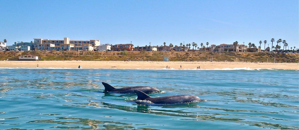 ¿Y si nos vamos a Redondo Beach este weekend?